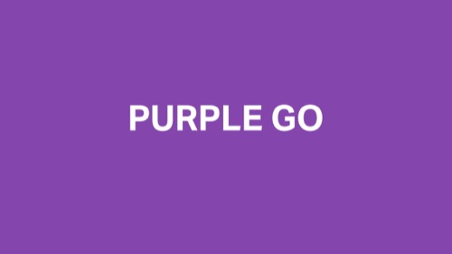 Purple Go Seed pitch deck